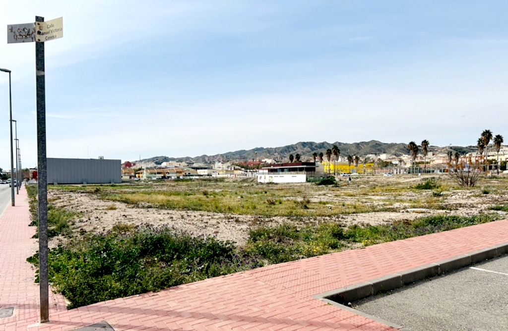 La construccin de Centro Multidisciplinar de Enfermedades Raras en una parcela pblica en La Bscula, a debate